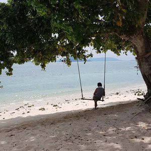 Meet your Posher, Rosalee